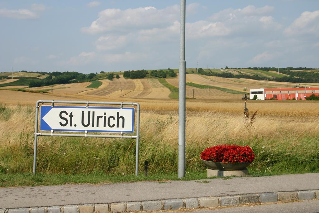 Weingut Martinshof Sankt Ulrich (Ganserndorf) Exterior foto