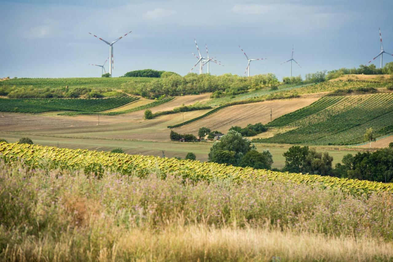 Weingut Martinshof Sankt Ulrich (Ganserndorf) Exterior foto