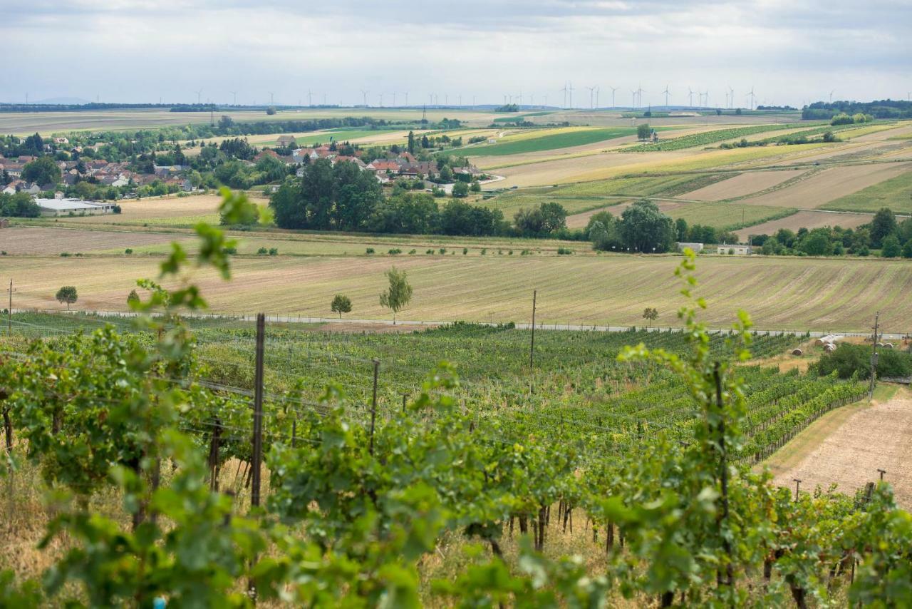 Weingut Martinshof Sankt Ulrich (Ganserndorf) Exterior foto